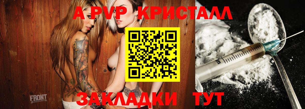 Альфа ПВП крисы CK Петропавловск-Камчатский