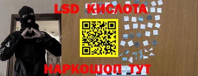 крисы Сланцы