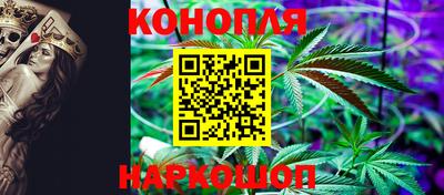 крисы Сланцы