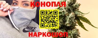 крисы Сланцы