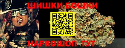 крисы Сланцы