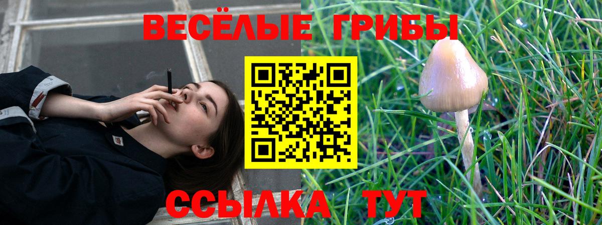 Псилоцибиновые грибы Magic Shrooms  Вход с VPN  Петропавловск-Камчатский  Псилоцибиновые грибы MAGIC MUSHROOMS 