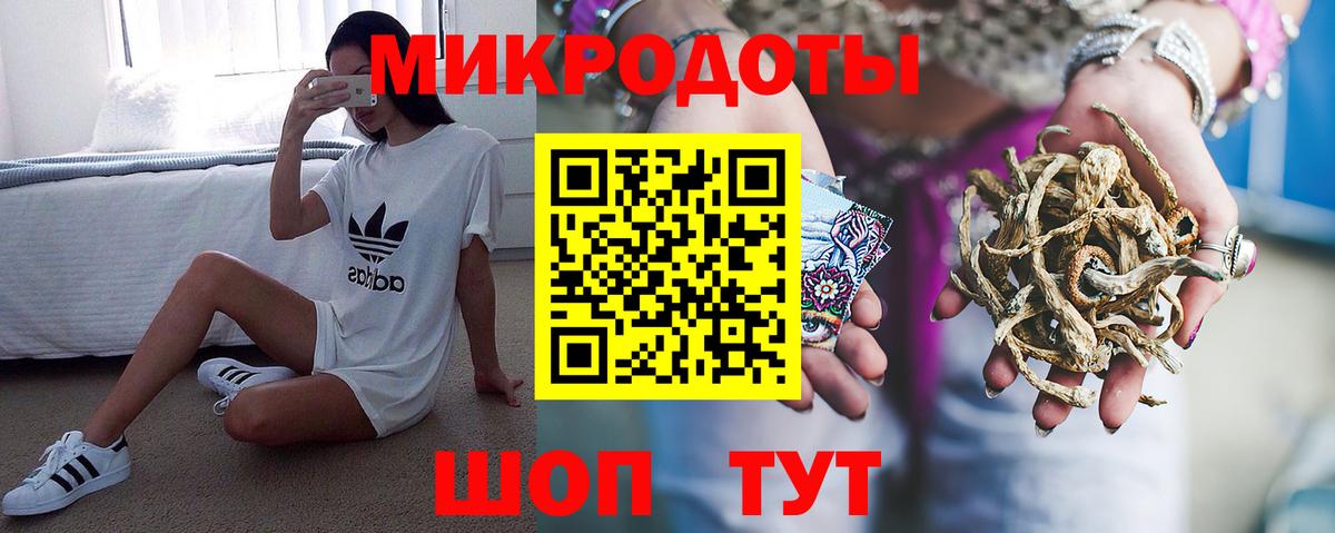 Псилоцибиновые грибы Psilocybe Петропавловск-Камчатский